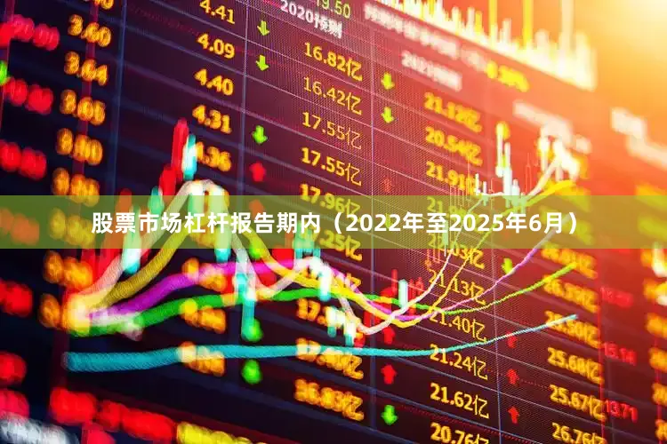 股票市场杠杆报告期内（2022年至2025年6月）
