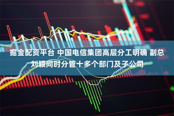掘金配资平台 中国电信集团高层分工明确 副总刘颖同时分管十多个部门及子公司